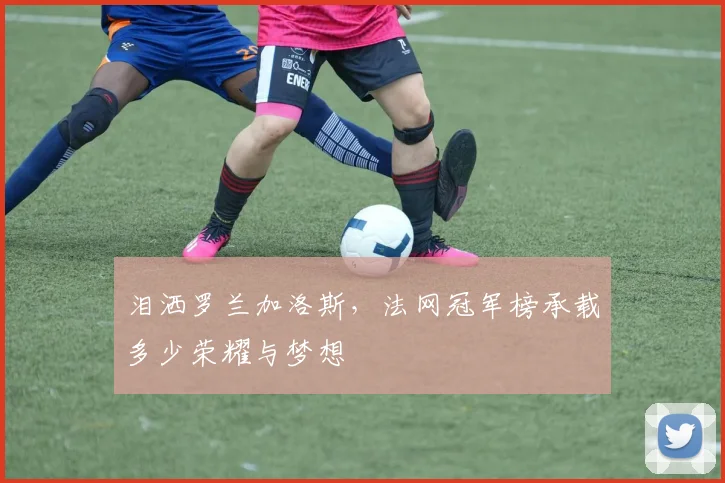 泪洒罗兰加洛斯，法网冠军榜承载多少荣耀与梦想