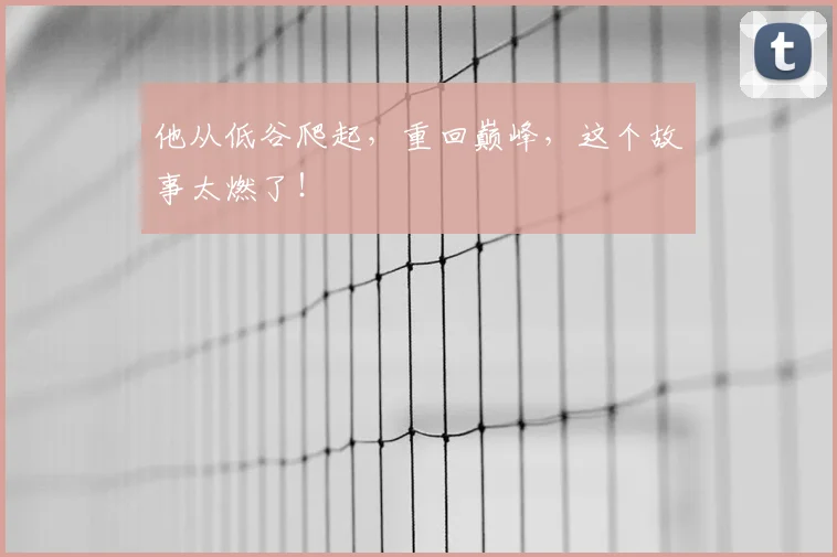 他从低谷爬起，重回巅峰，这个故事太燃了！