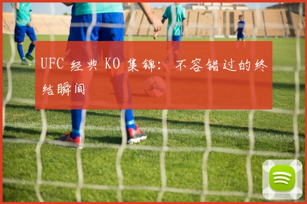 UFC 经典 KO 集锦:不容错过的终结瞬间