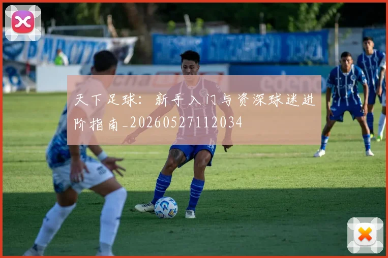 天下足球:新手入门与资深球迷进阶指南_20260527112034
