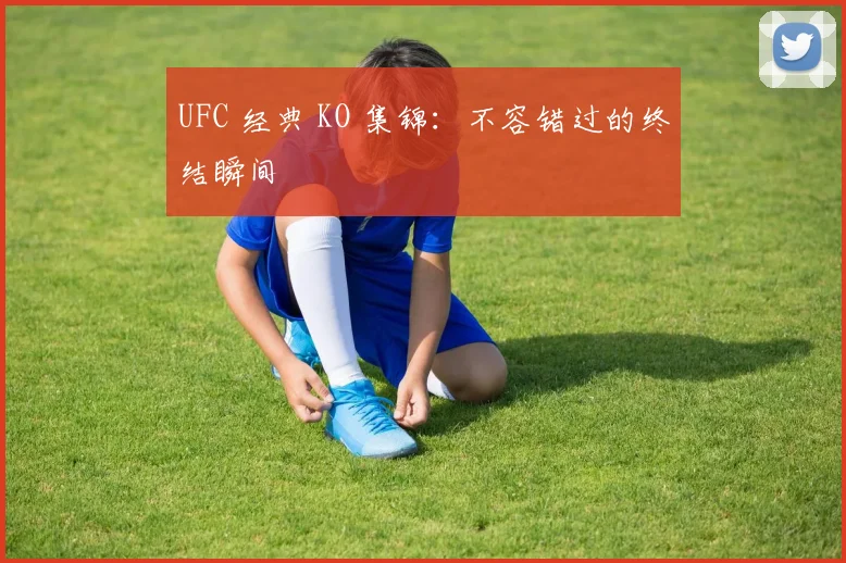 UFC 经典 KO 集锦:不容错过的终结瞬间