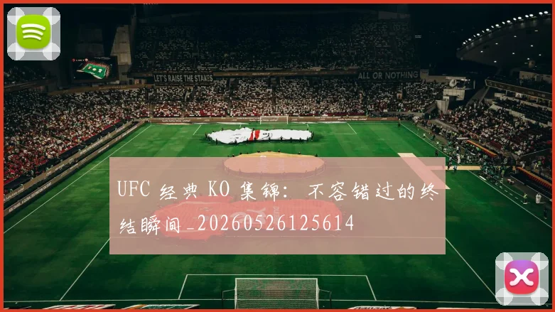 UFC 经典 KO 集锦：不容错过的终结瞬间_20260526125614